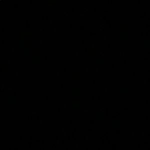 Meet your Posher, Anais